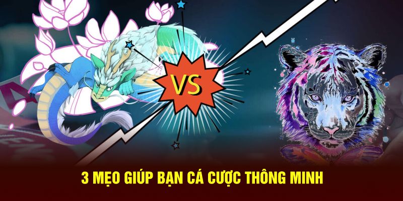 3 Mẹo giúp bạn cá cược thông minh