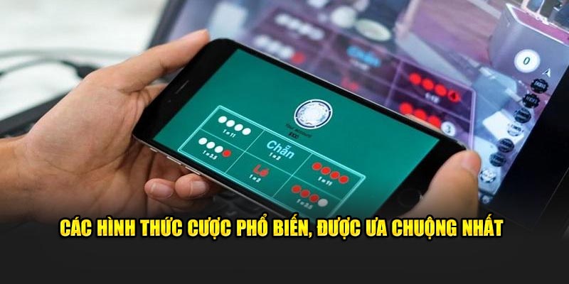 Các hình thức cược phổ biến, được ưa chuộng nhất